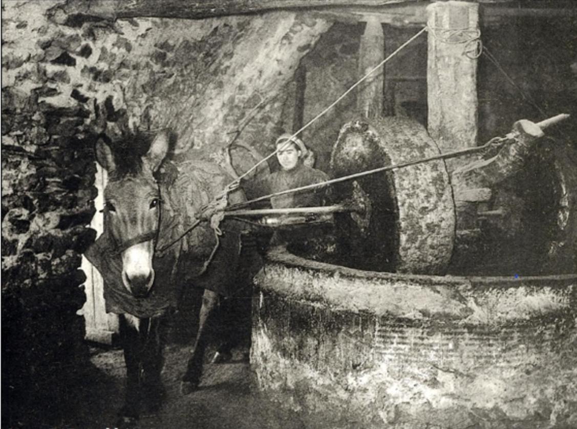 Olive Oil Mill Apartman Kokála Kültér fotó
